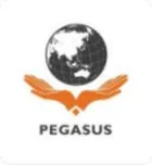 CÔNG TY CỔ PHẦN TƯ VẤN VÀ ĐẦU TƯ PEGASUS - CHI NHÁNH HÀ NỘI