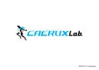 Caerux Lab