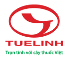 CÔNG TY TNHH TUỆ LINH