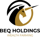 CÔNG TY CỔ PHẦN BEQ HOLDINGS