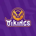 CÔNG TY CỔ PHẦN VIKINGS VIỆT NAM
