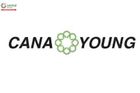 VĂN PHÒNG ĐẠI DIỆN CÔNG TY TNHH CANA YOUNG TẠI TP. HỒ CHÍ MINH