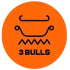 CÔNG TY TNHH ĐẦU TƯ TRIPLE BULLS