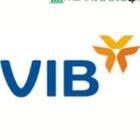 NGÂN HÀNG THƯƠNG MẠI CỔ PHẦN QUỐC TẾ VIỆT NAM - CHI NHÁNH THÀNH ĐÔ