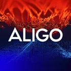 Công ty tnhh đầu tư và công nghệ aligo