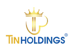 CÔNG TY CỔ PHẦN TIN HOLDINGS