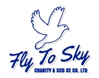CÔNG TY TNHH DOANH NGHIỆP XÃ HỘI TỪ THIỆN VÀ HỖ TRỢ PHÁT TRIỂN CỘNG ĐỒNG FLY TO SKY