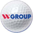 CÔNG TY CỔ PHẦN TẬP ĐOÀN WGHN HOLDING