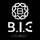 Công ty TNHH BigBic