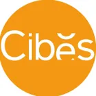 CÔNG TY TNHH CIBES LIFT VIỆT NAM