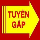 Công Ty TNHH Đầu Tư Và Phát Triển Tây Bắc Bộ
