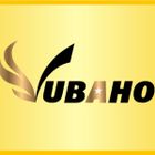 Công ty TNHH Vua Bảo Hộ