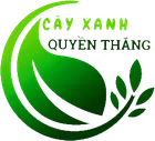 CÔNG TY CỔ PHẦN KIẾN TRÚC VÀ CẢNH QUAN CÂY XANH QUYỀN THẮNG