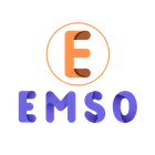 Công ty cổ phần EMSO Việt Nam