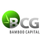 CÔNG TY CỔ PHẦN TẬP ĐOÀN BAMBOO CAPITAL