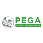 CÔNG TY CỔ PHẦN XE ĐIỆN PEGA LTT