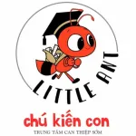 Công ty TNHH Can Thiệp Sớm Chú Kiến Con