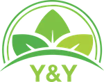 CÔNG TY CỔ PHẦN Y&Y GROUP