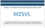Công Ty TNHH MOLVIZADAH SONS Việt Nam