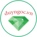 CÔNG TY TNHH DUYNGOC.VN