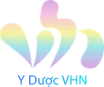 CÔNG TY CỔ PHẦN XUẤT NHẬP KHẨU VÀ PHÂN PHỐI SẢN PHẨM Y DƯỢC VHN