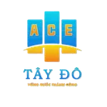 CÔNG TY TNHH KỸ THUẬT CÔNG TRÌNH TÂY ĐÔ ACE