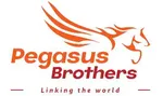 CÔNG TY CỔ PHẦN PEGASUS BROTHERS