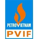 CÔNG TY CỔ PHẦN ĐẦU TƯ TÀI CHÍNH BẢO HIỂM DẦU KHÍ