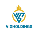 CÔNG TY CỔ PHẦN VIGHOLDINGS
