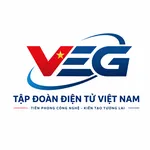 CÔNG TY TNHH TẬP ĐOÀN ĐIỆN TỬ VIỆT NAM