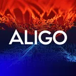 Công ty tnhh đầu tư và công nghệ aligo