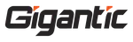 CÔNG TY CỔ PHẦN GIẢI TRÍ TRỰC TUYẾN GIGANTIC