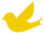 CÔNG TY TNHH CANARY SOLUTIONS