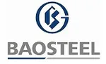 CÔNG TY TRÁCH NHIỆM HỮU HẠN XÂY DỰNG BAOSTEEL (VIỆT NAM)