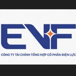 Công ty Tài chính Tổng hợp Cổ phần Điện lực
