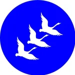 CÔNG TY CỔ PHẦN CHĂN NUÔI GIA CẦM VIETSWAN