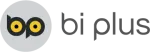 Công ty Cổ phần Giải pháp Phần mềm Biplus Việt Nam