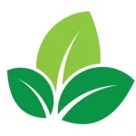 CÔNG TY TNHH THẾ GIỚI CẢNH QUAN XANH
