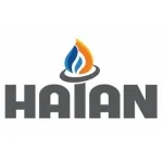 CÔNG TY CỔ PHẦN THƯƠNG MẠI VÀ DỊCH VỤ DẦU KHÍ HẢI AN