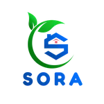 CÔNG TY TNHH SORA ELECTRIC VIET NAM