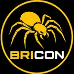 CÔNG TY TNHH BRICON VIỆT NAM