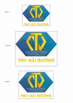 CÔNG TY CỔ PHẦN SẢN XUẤT, KINH DOANH KHOÁNG SẢN, DỊCH VỤ CẢNG TNV - HẢI DƯƠNG