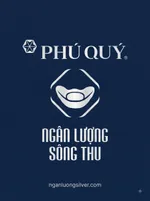 CÔNG TY TRÁCH NHIỆM HỮU HẠN NGÂN LƯỢNG SÔNG THU