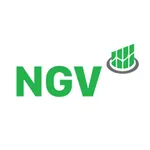 CÔNG TY TNHH KIỂM TOÁN VÀ TƯ VẤN NGV