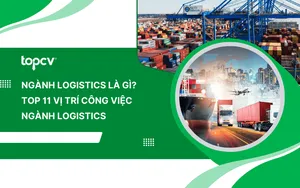 Ngành Logistics là gì? TOP 11 vị trí công việc ngành Logistics