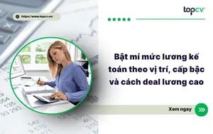 Bật mí mức lương kế toán theo vị trí, cấp bậc và cách deal lương cao