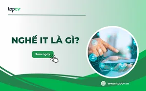 Ngành IT là gì? Mô tả chi tiết công việc của ngành IT