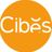 CÔNG TY TNHH CIBES LIFT VIỆT NAM