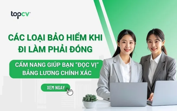 Các loại bảo hiểm khi đi làm phải đóng: Cẩm nang giúp bạn "đọc vị" bảng lương chính xác