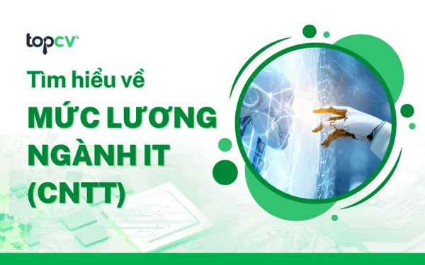 Lương IT một tháng bao nhiêu? Khám phá mức lương ngành Công nghệ thông tin